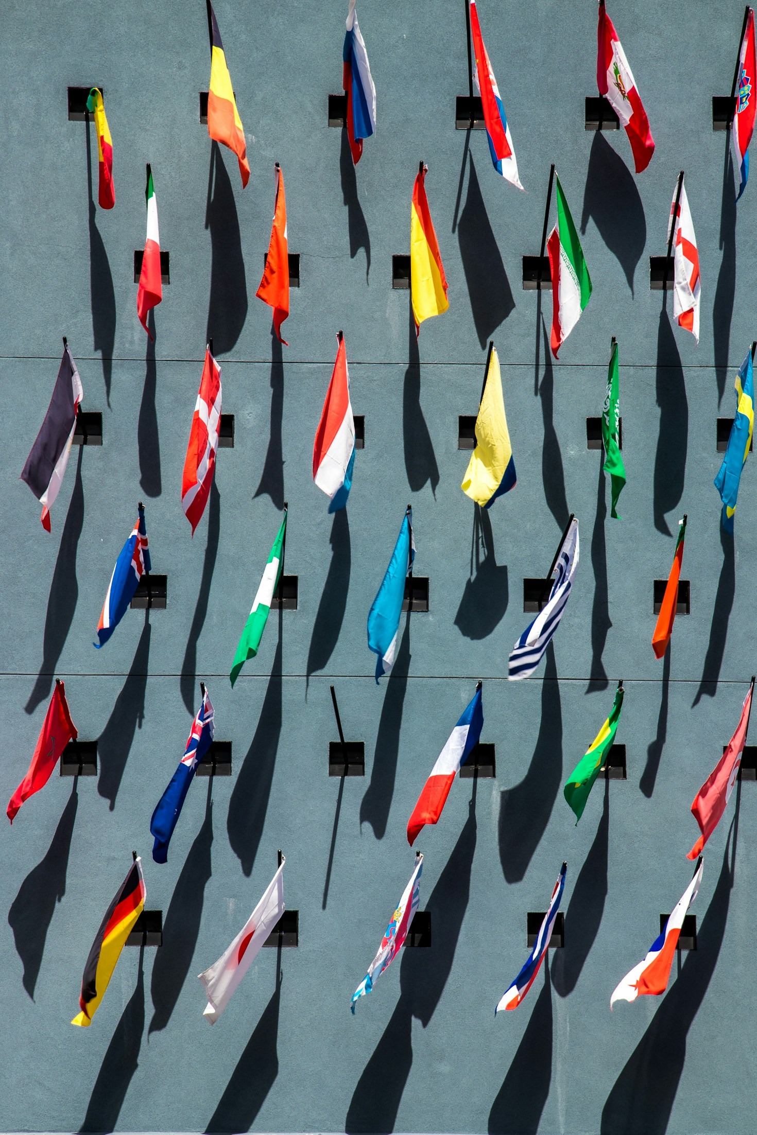 The Role of Expert Support in Successful Immigration